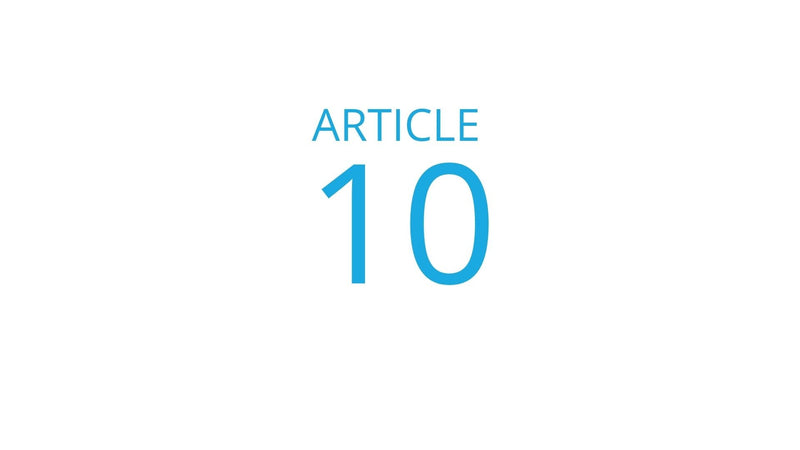 Blog Article 10