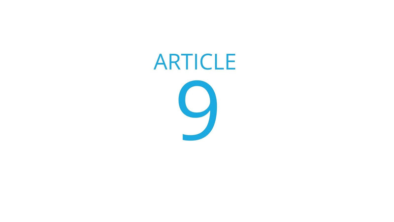 Blog Article 9